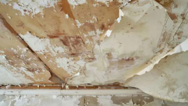 Peeling, bubbling paint and stained plaster on a ceiling above the crown trim