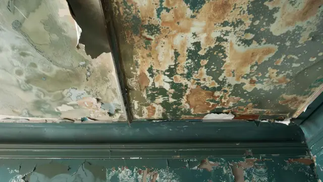 Interior wall with peeling teal paint and water staining along the ceiling line
